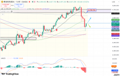徐文婷：欧盘思路：急跌后修复先看反弹力度